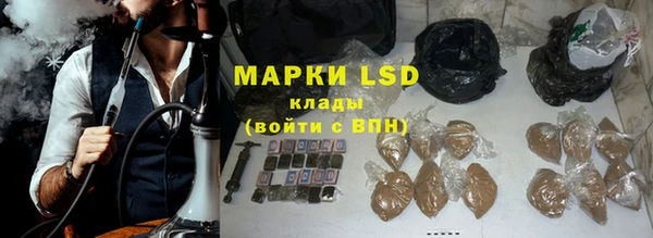 PSILOCYBIN Балабаново