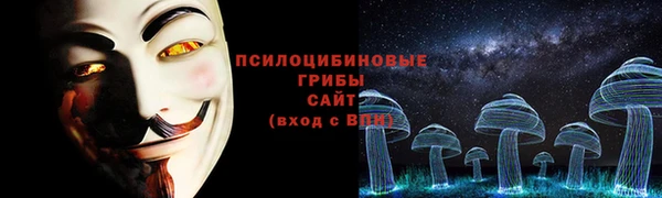 PSILOCYBIN Балабаново
