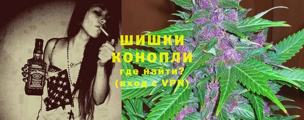 PSILOCYBIN Балабаново