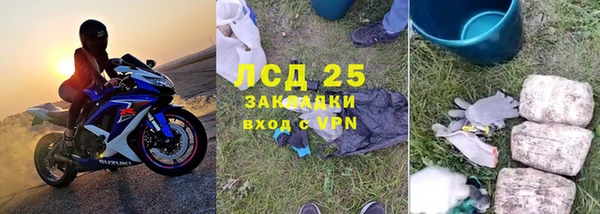 PSILOCYBIN Балабаново