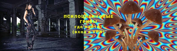 соль ск Балахна