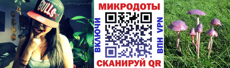 Псилоцибиновые грибы Cubensis  Кудрово 